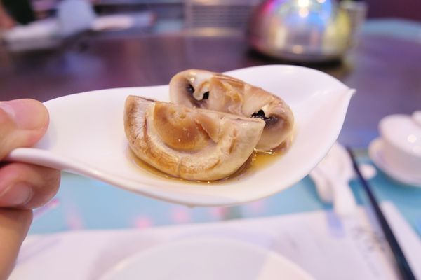 1525713455-786566701_n.jpg?v=1525713576