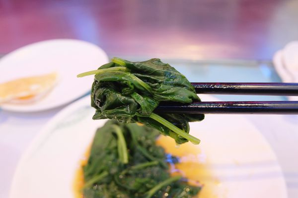 1525713477-1348589998_n.jpg?v=1525713576