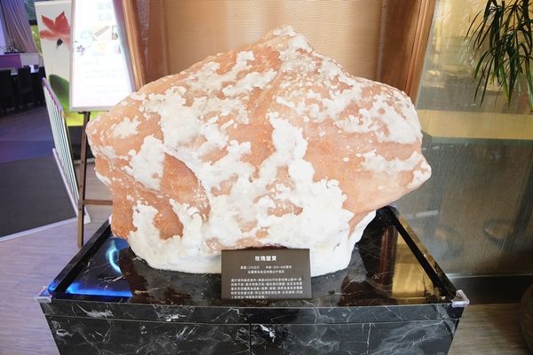 1525713513-3292942657_n.jpg?v=1525713576