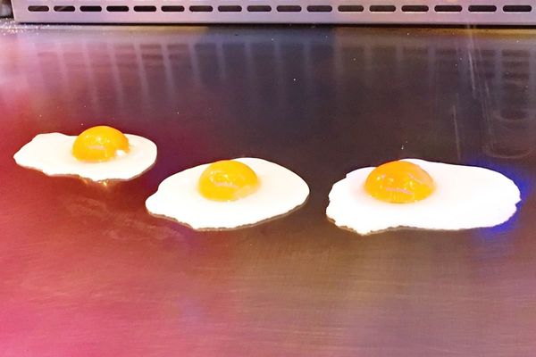 1525713532-1242929068_n.jpg?v=1525713576