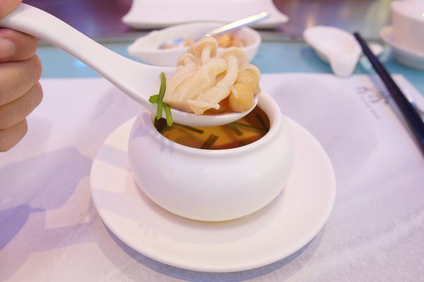 1525713431-2980878284_n.jpg?v=1525713576