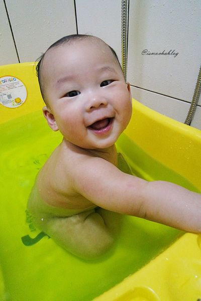 1525267245-3490884398_n.jpg?v=1525267272