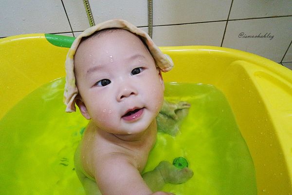 1525267248-3440601604_n.jpg?v=1525267272