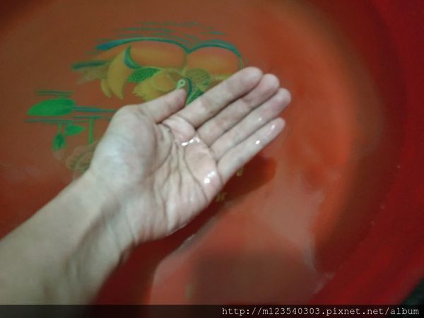 1524664769-3376261107_n.jpg?v=1524664904