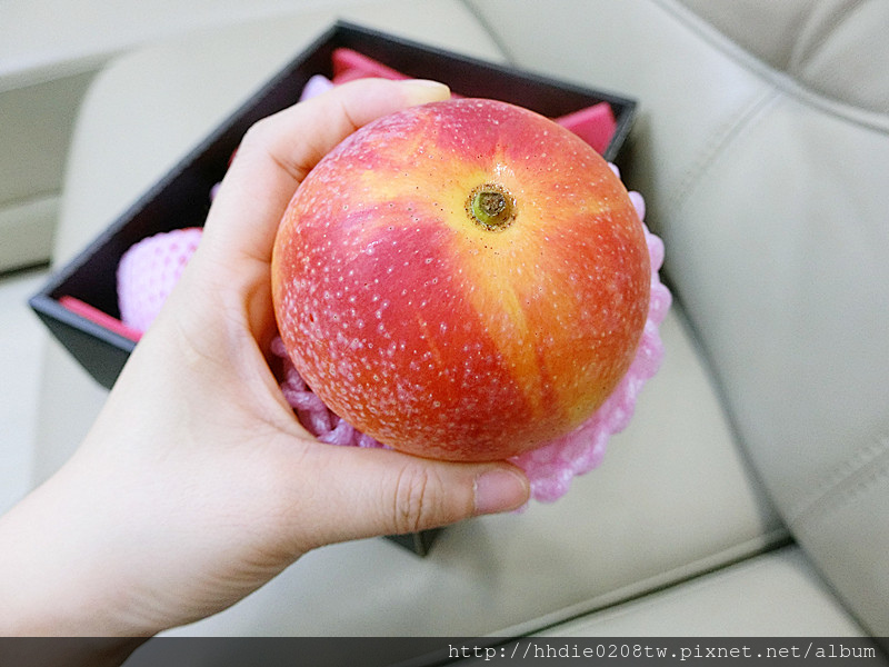 1525232807-3034225802.jpg?v=1525232825