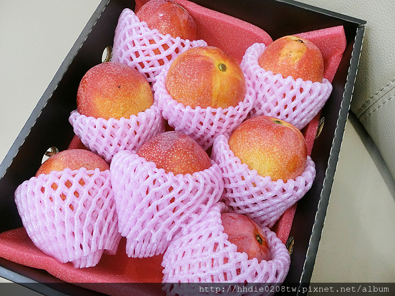 1525232806-973234573.jpg?v=1525232825