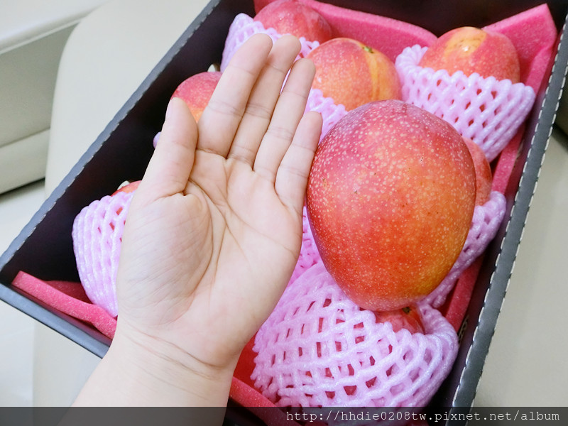 1525232794-2599573345.jpg?v=1525232825