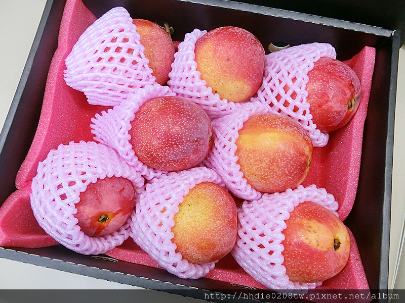 1525232804-3180195179.jpg?v=1525232825