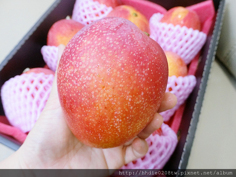 1525232803-243783531.jpg?v=1525232825