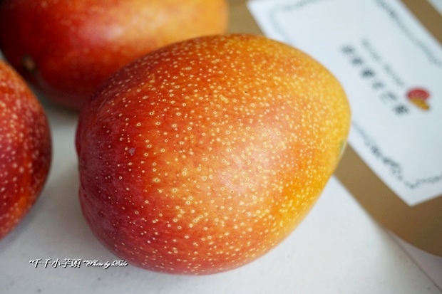 孫家愛文芒果22
