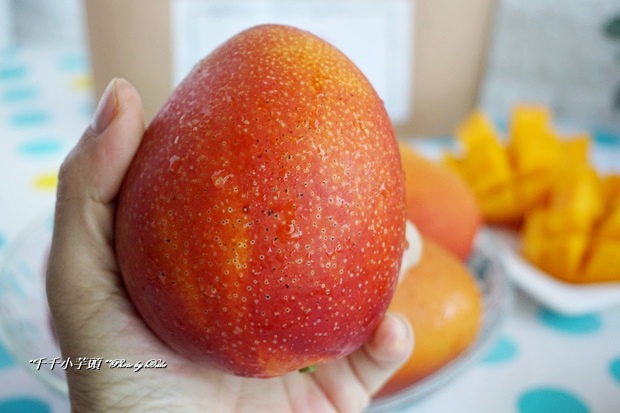孫家愛文芒果11.JPG