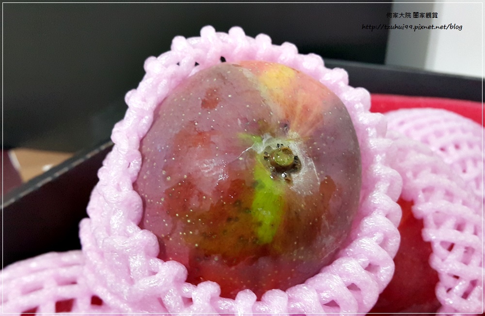 孫家愛文芒果(宅配美食宅配水果禮盒) 09.jpg