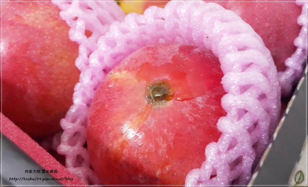 孫家愛文芒果(宅配美食宅配水果禮盒) 08.jpg