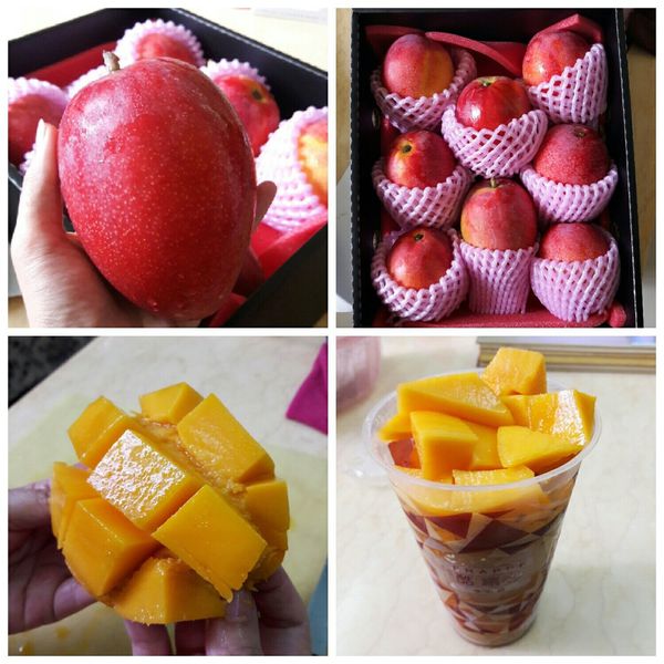 1525772330-2625092785_n.jpg?v=1525772331