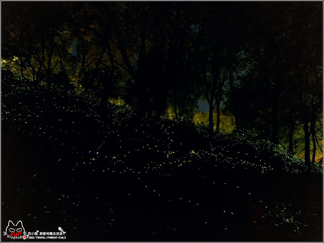 八仙山莊 - 081.jpg