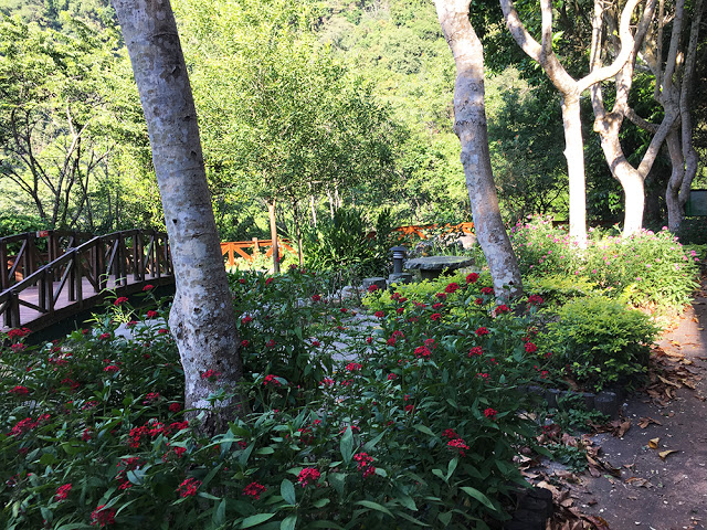 台中隱藏秘境-八仙山莊