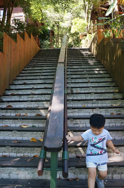 【旅遊】台中隱藏秘境-台中八仙山莊渡假小木屋│檜木四人房│谷關民宿│八仙山森林遊樂區