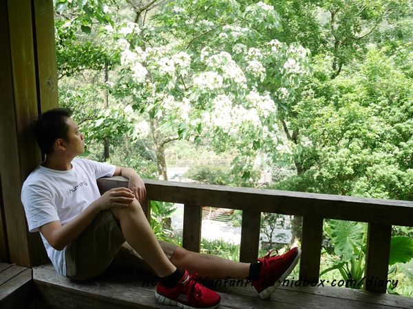 台中住宿【台中商旅八仙山莊】#谷關民宿 #渡假小木屋 #八仙國家森林遊樂區 #芬多精 #森林慢活 (11).JPG