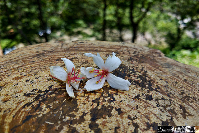 P_20180519_111153_vHDR_Auto