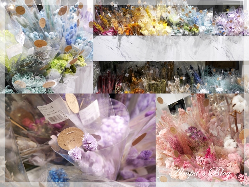 1525683563-2311686408.jpg?v=1525683589