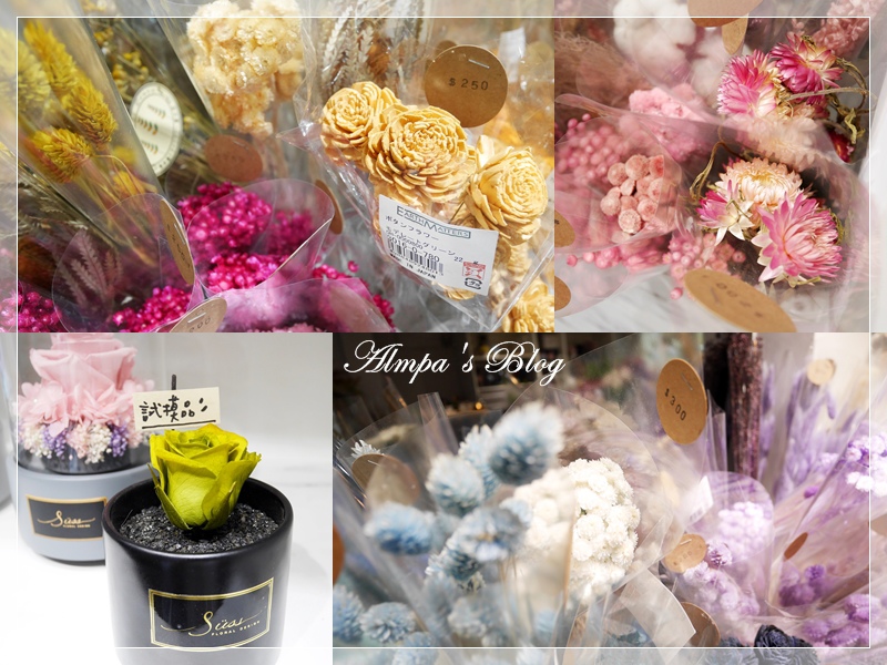 1525683565-710205964.jpg?v=1525683589