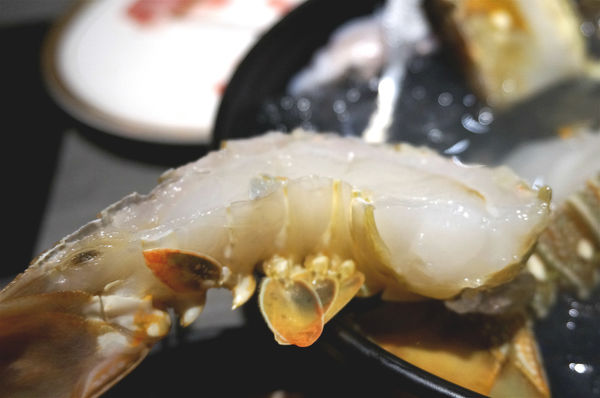 嗑肉石鍋(嗑肉石鍋(昌平店))：台中北屯【嗑肉石鍋昌平店】只要999就能享用雙人豪華海陸雙拼鍋，大口吃肉吃龍蝦好過癮