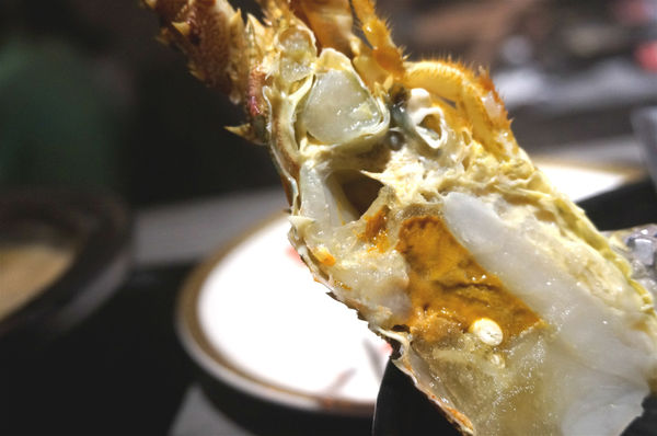 嗑肉石鍋(嗑肉石鍋(昌平店))：台中北屯【嗑肉石鍋昌平店】只要999就能享用雙人豪華海陸雙拼鍋，大口吃肉吃龍蝦好過癮