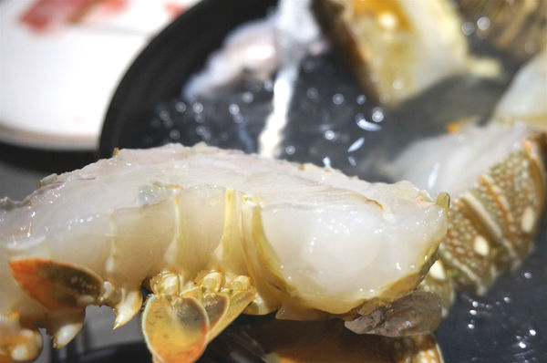 嗑肉石鍋(嗑肉石鍋(昌平店))：台中北屯【嗑肉石鍋昌平店】只要999就能享用雙人豪華海陸雙拼鍋，大口吃肉吃龍蝦好過癮