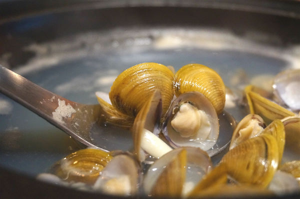 嗑肉石鍋(嗑肉石鍋(昌平店))：台中北屯【嗑肉石鍋昌平店】只要999就能享用雙人豪華海陸雙拼鍋，大口吃肉吃龍蝦好過癮