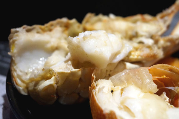 嗑肉石鍋(嗑肉石鍋(昌平店))：台中北屯【嗑肉石鍋昌平店】只要999就能享用雙人豪華海陸雙拼鍋，大口吃肉吃龍蝦好過癮