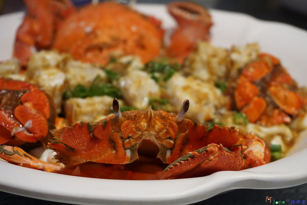 1525709666-3509559969_n.jpg?v=1525709668