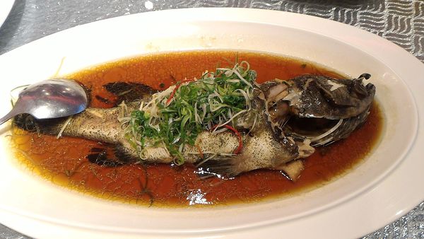 P_20180429_192411_LL