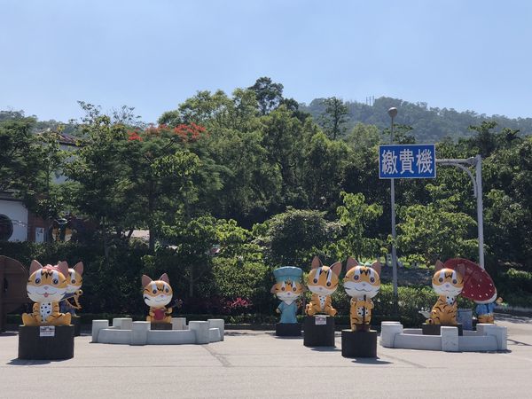 mama (32) (1024x768).jpg