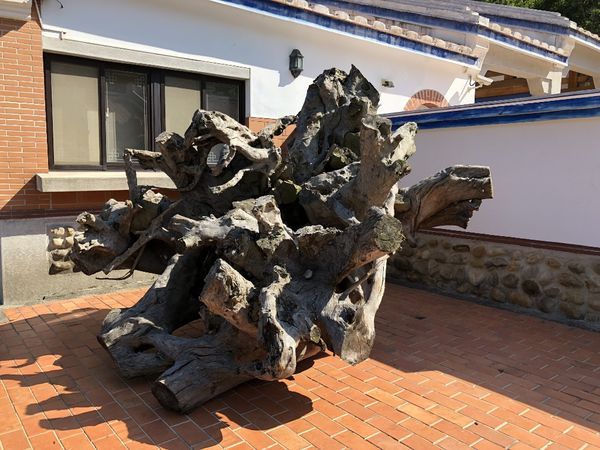 mama (24) (1024x768).jpg