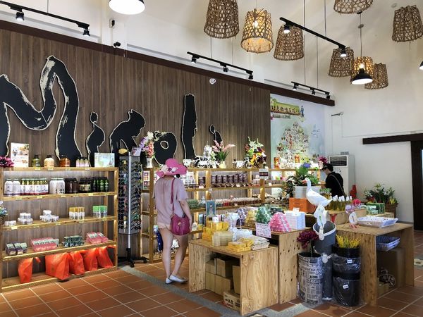 mama (29) (1024x768).jpg