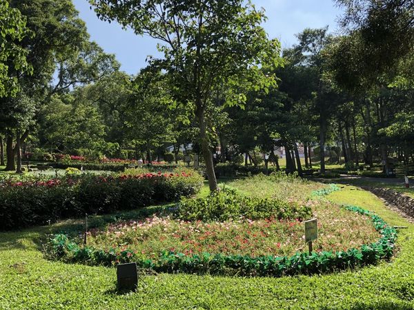 mama (12) (1024x768).jpg