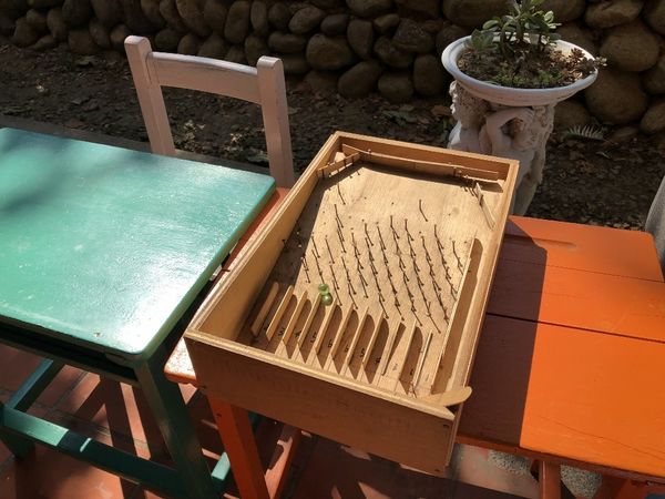 mama (26) (1024x768).jpg