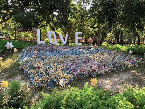 mama (3) (1024x768).jpg