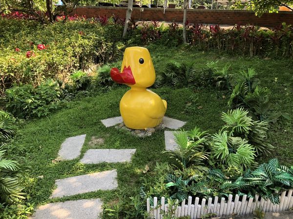 mama (6) (1024x768).jpg