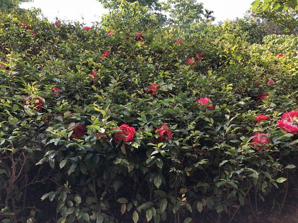 mama (9) (1024x768).jpg