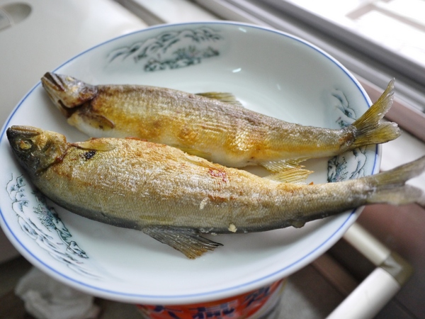 派大鮮：((體驗文)) 派大鮮-新鮮肉品、海鮮食材送到家