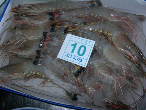 DSCN8501.JPG - 【派大鮮】嚴選生猛海陸生鮮