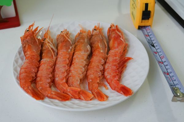 阿根廷天使紅蝦2.jpg
