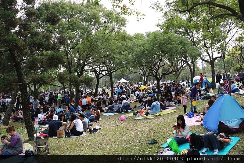 æµ·æéæ²åæ¬ (4).JPG