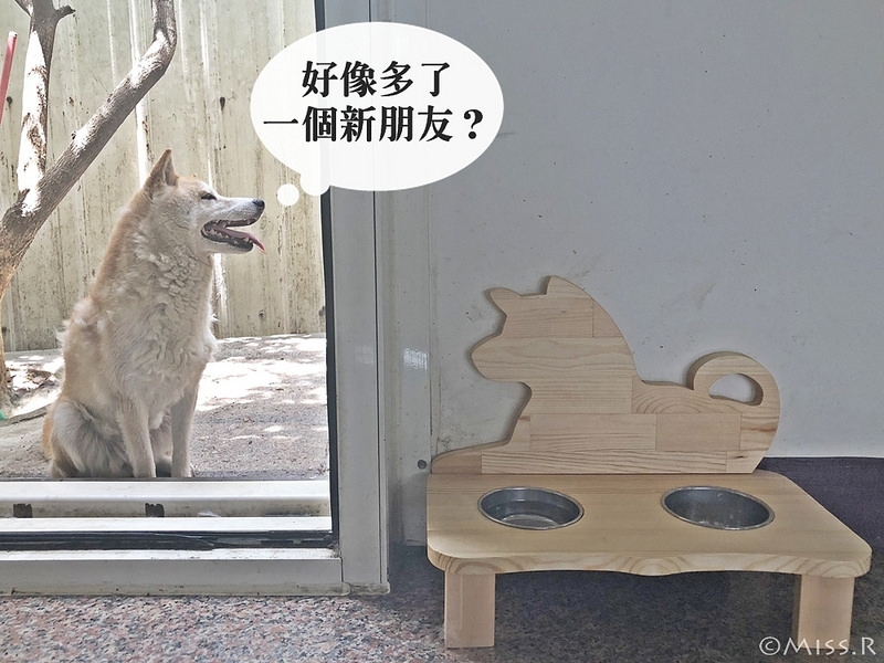 特力屋手創空間 特力屋台中西屯 特力屋DIY 特力屋木工體驗 木工手作教學 親子DIY 特力屋寵物餐桌 寵物餐桌自製5