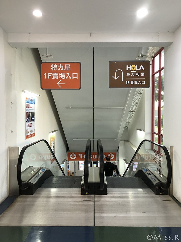 特力屋手創空間 特力屋台中西屯 特力屋DIY 特力屋木工體驗 木工手作教學 親子DIY 特力屋寵物餐桌 寵物餐桌自製2