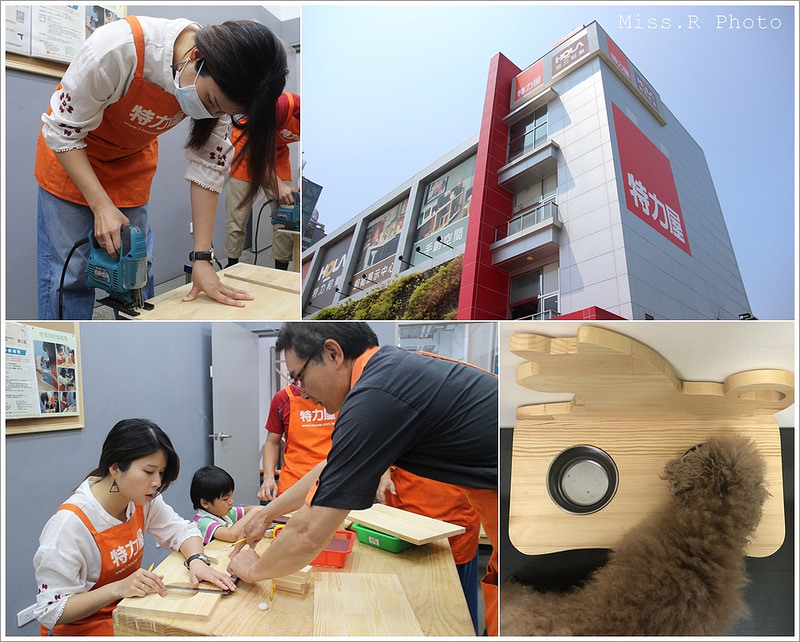特力屋手創空間 特力屋台中西屯 特力屋DIY 特力屋木工體驗 木工手作教學 親子DIY 特力屋寵物餐桌 寵物餐桌自製0
