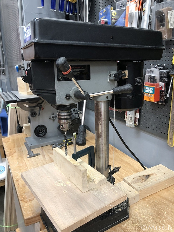 特力屋手創空間 特力屋台中西屯 特力屋DIY 特力屋木工體驗 木工手作教學 親子DIY 特力屋寵物餐桌 寵物餐桌自製57