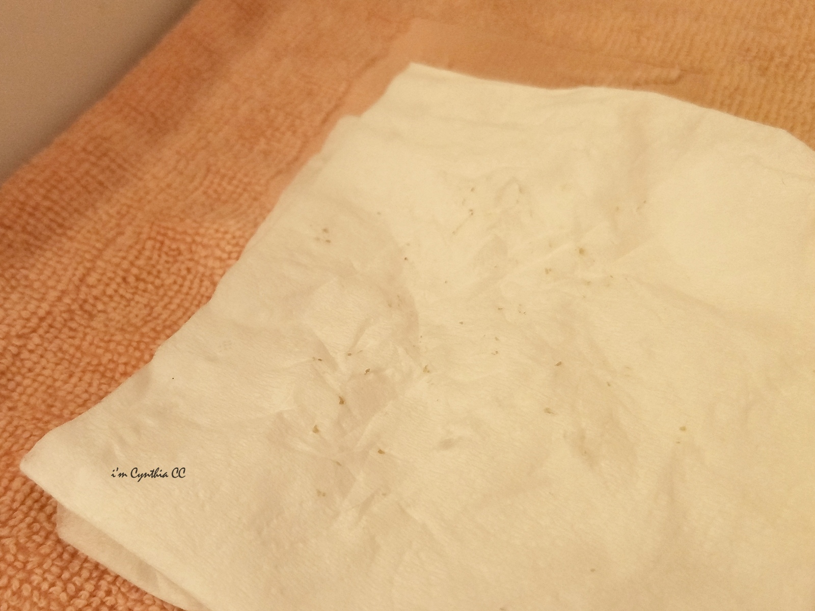 台北信義慧妮克斯美學館-精油臉部按摩SPA