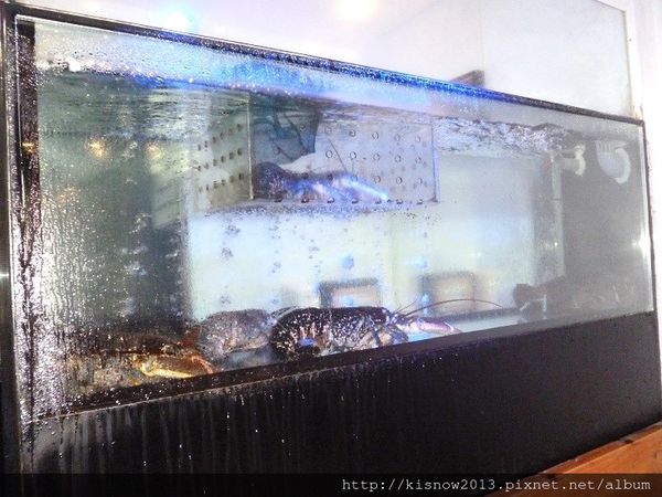 小當家6-水族箱.JPG